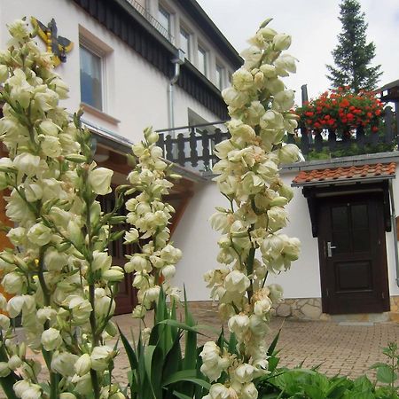 Ferienhaus Haus Am Wald Stolberg i. Harz 外观 照片