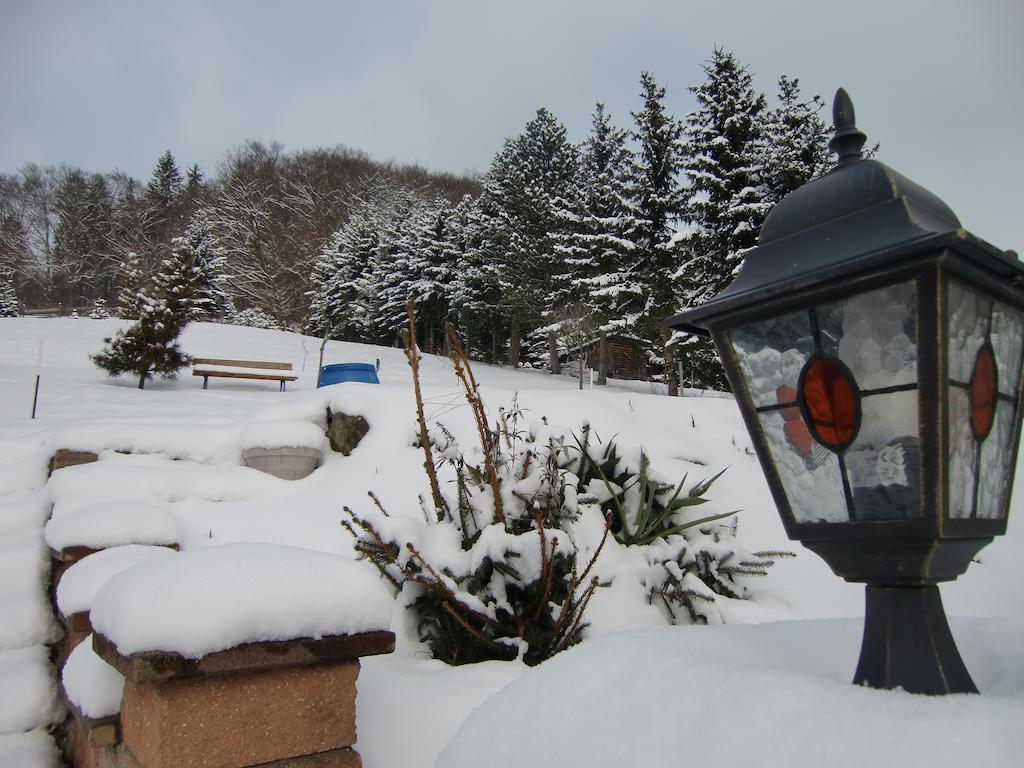 Ferienhaus Haus Am Wald Stolberg i. Harz 外观 照片