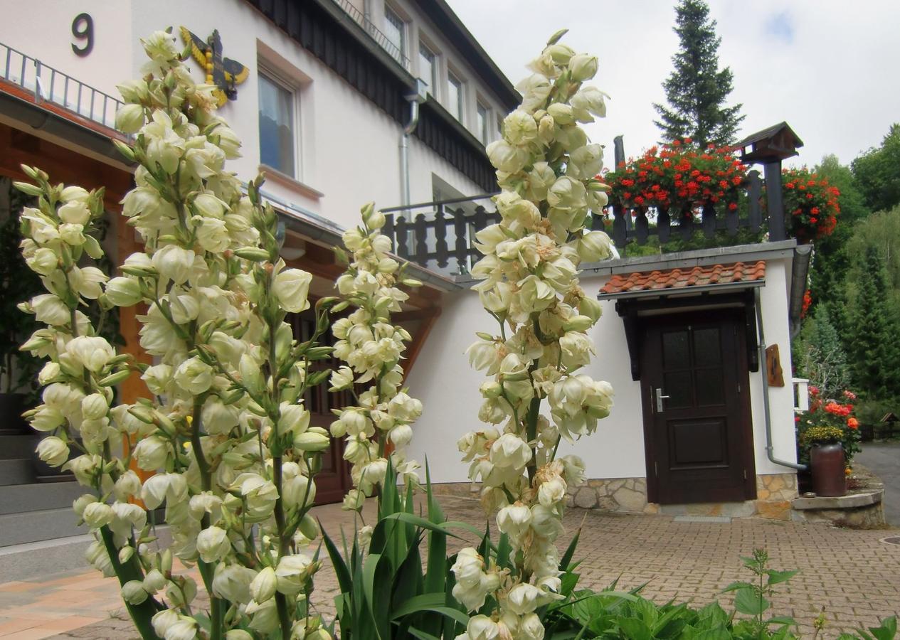 Ferienhaus Haus Am Wald Stolberg i. Harz 外观 照片