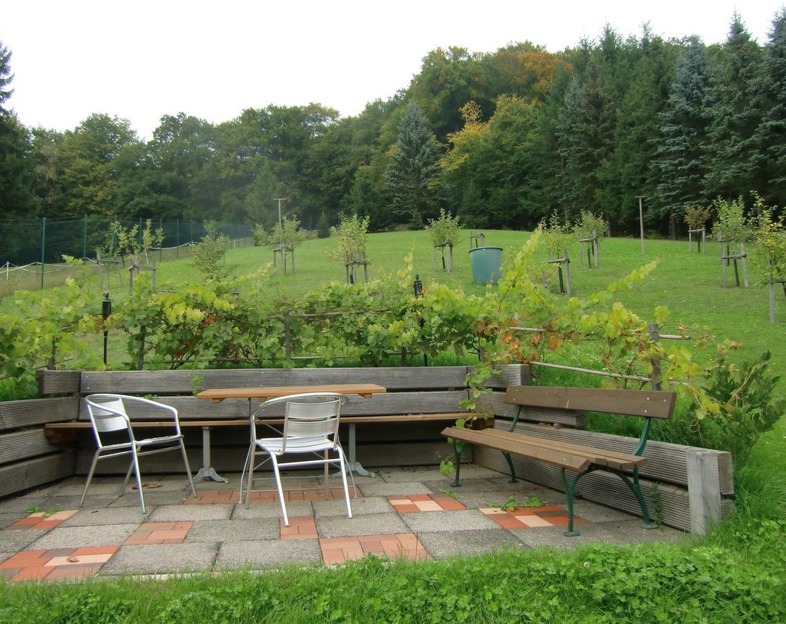 Ferienhaus Haus Am Wald Stolberg i. Harz 外观 照片