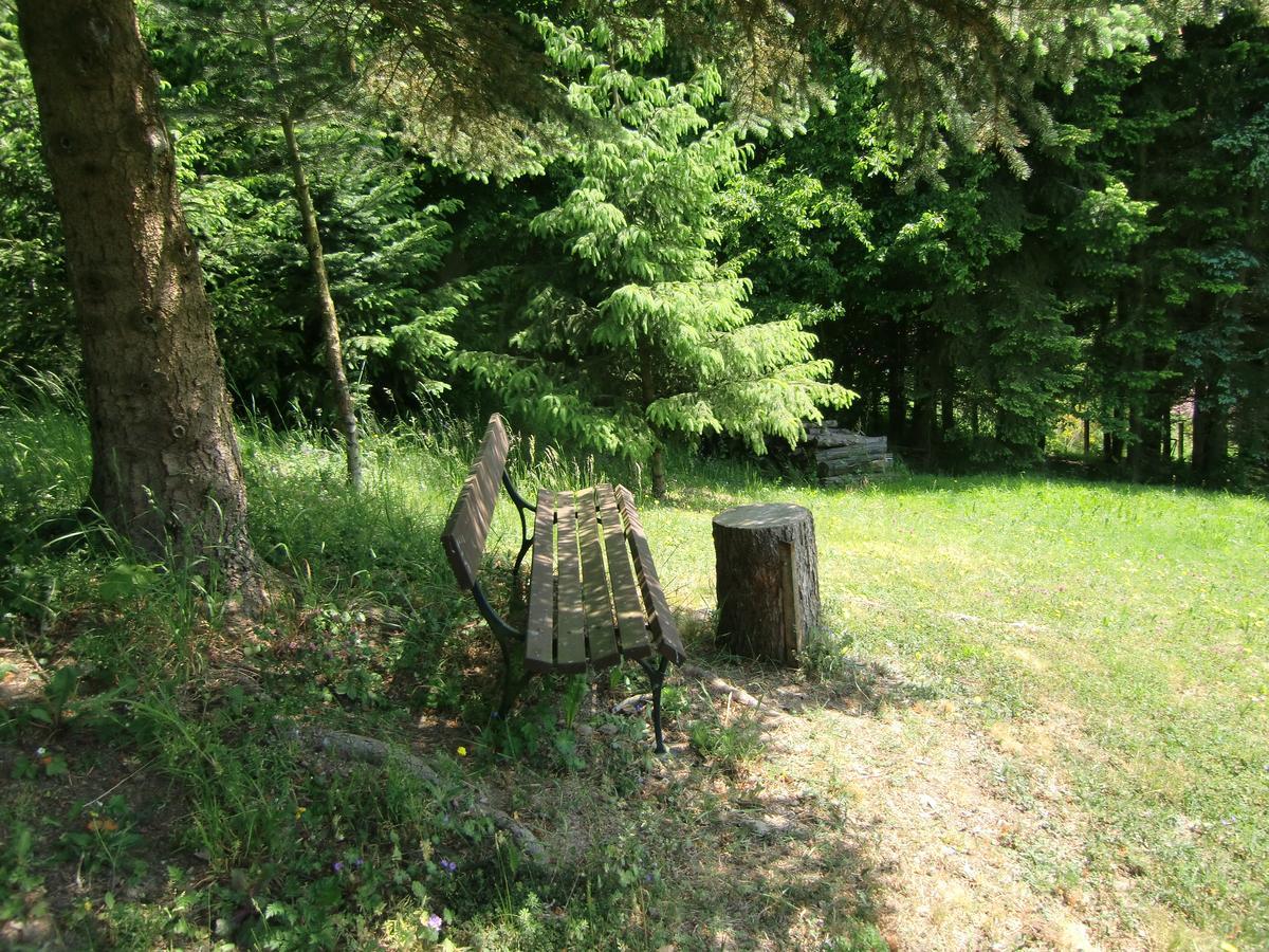 Ferienhaus Haus Am Wald Stolberg i. Harz 外观 照片